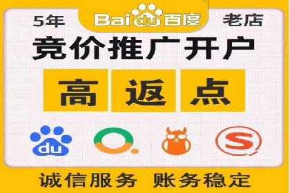 百度SEM广告投放的创意与执行：成功案例详解
